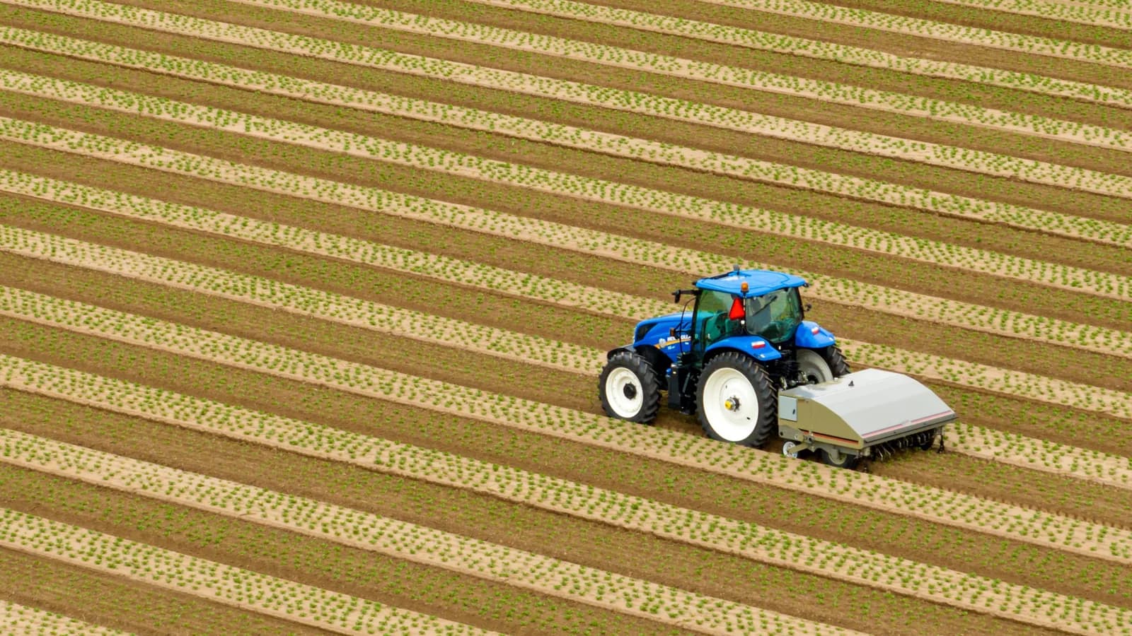 Stout Industrial Technology Smart Cultivator — immagine rappresentativa della famiglia Stout Industrial Technology Smart Cultivator