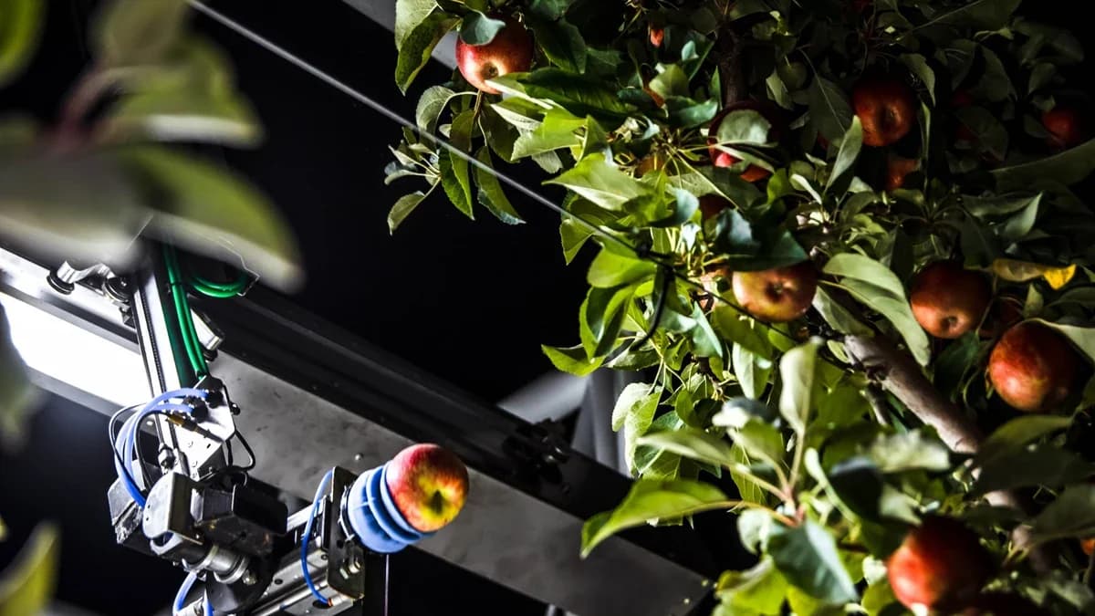 Advanced Farm Technologies Apple harvesting robot (2023)