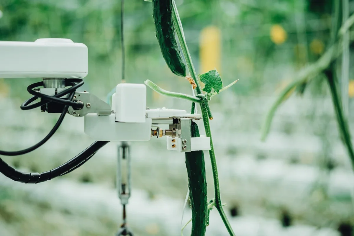 AGRIST Harvesting Robot 2024