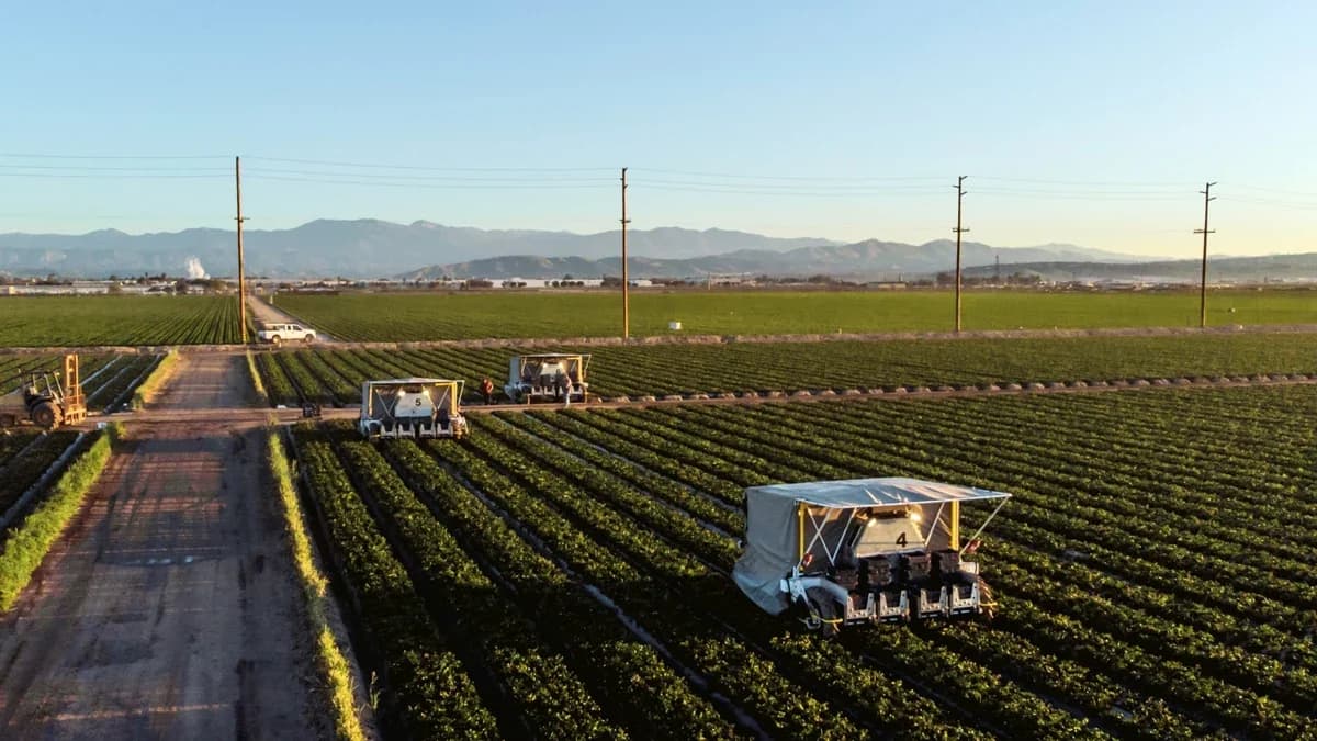 Advanced Farm Technologies BetterPick (strawberry)