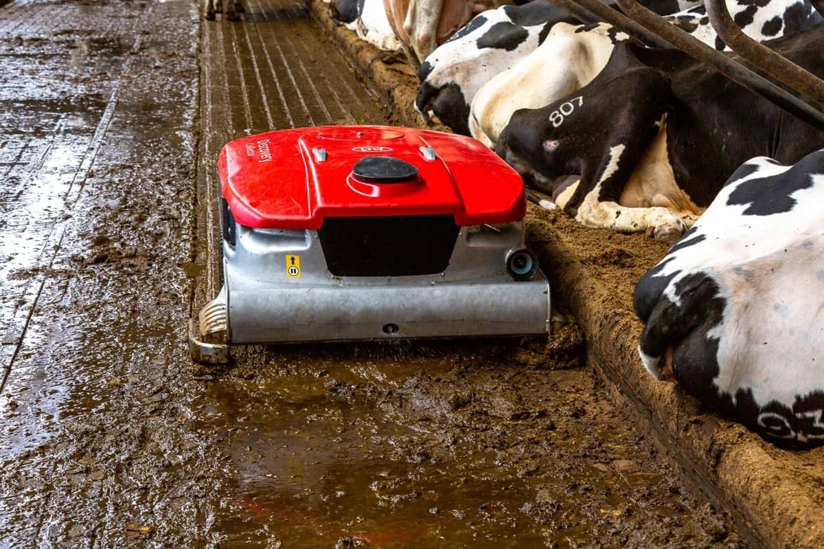 Lely Discovery Collector C2 — immagine rappresentativa della famiglia Lely Discovery Collector C2
