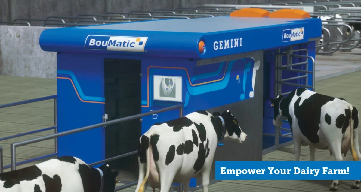 BouMatic Gemini (generazione originale)