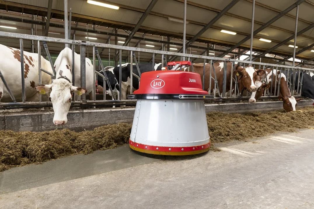 Lely Juno