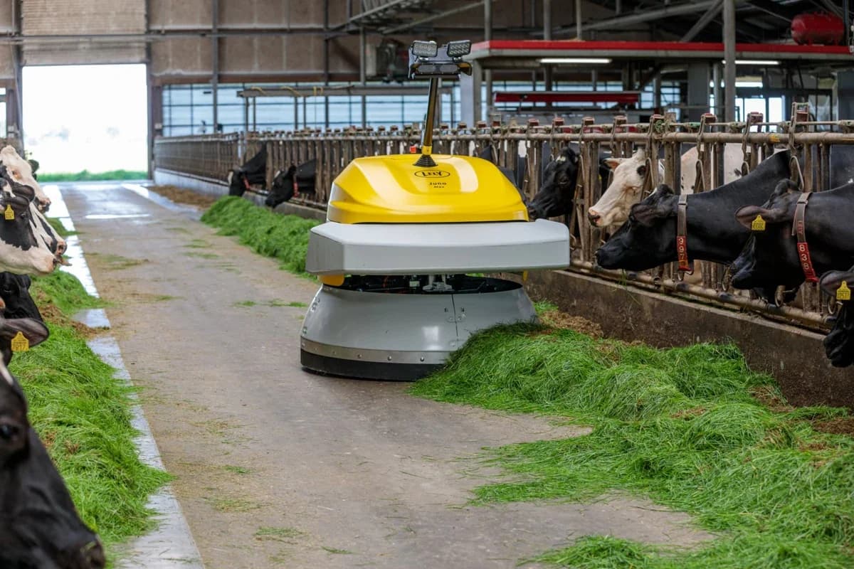 Lely Juno Max