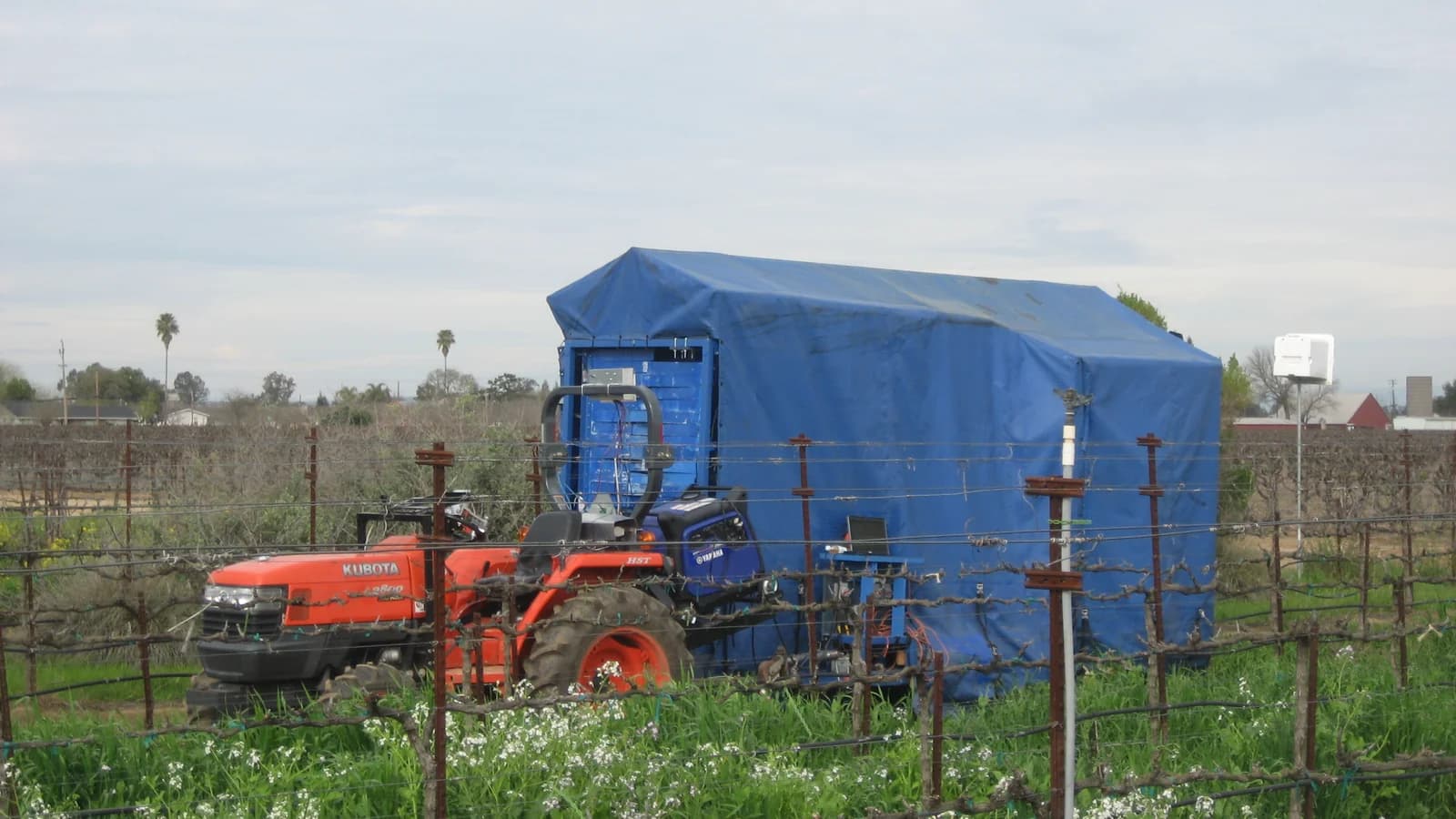 Vision Robotics Grapevine Pruner