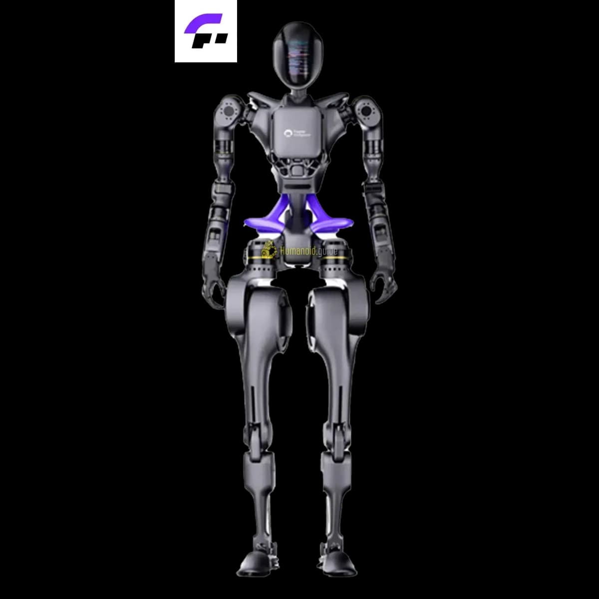 Fourier Intelligence GR-1