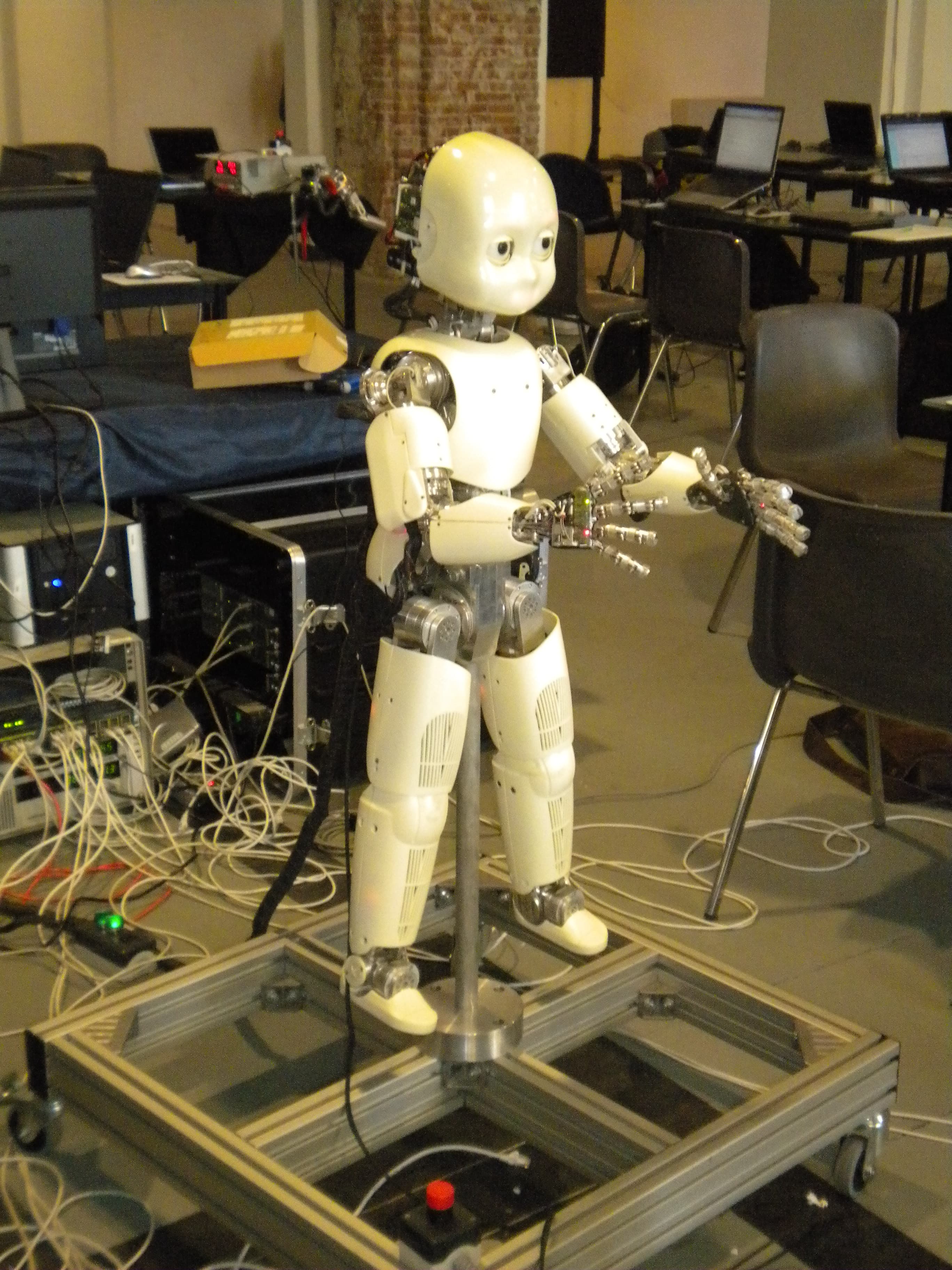 IIT (Istituto Italiano di Tecnologia) iCub