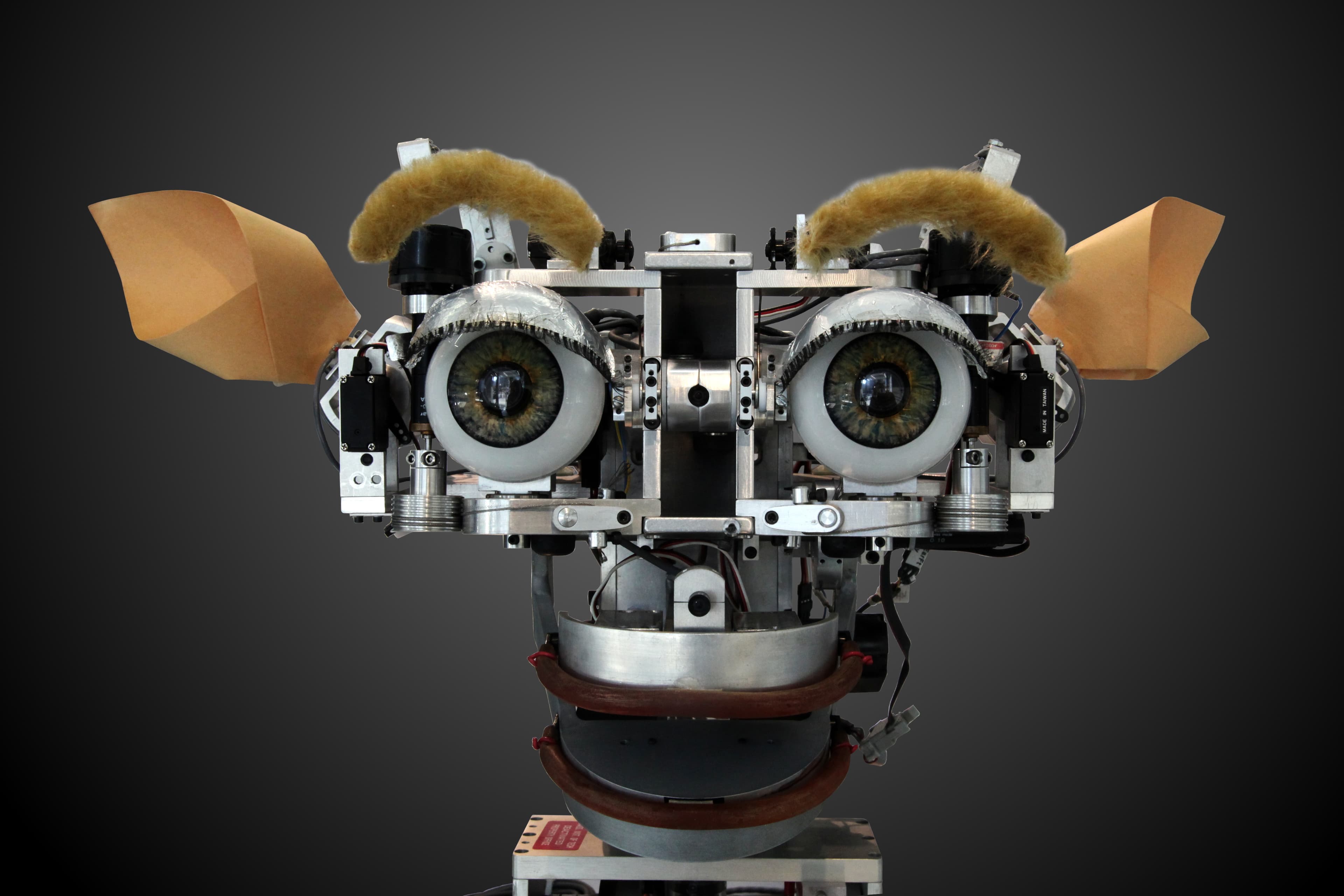 MIT AI Lab (Cynthia Breazeal) Kismet
