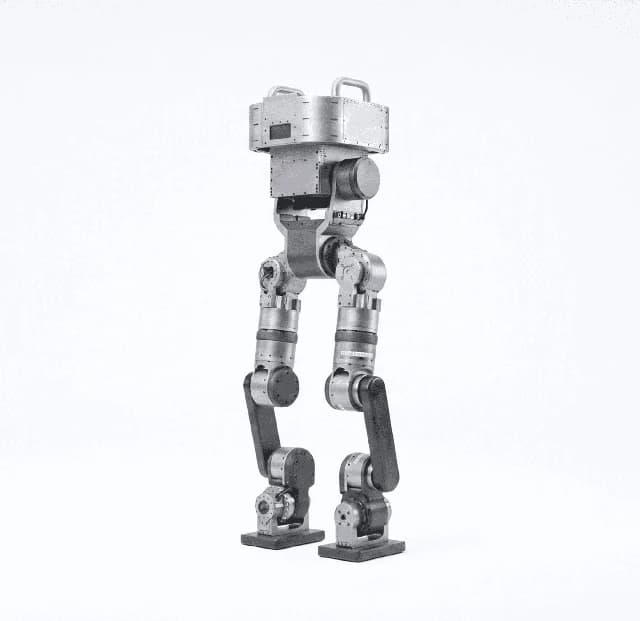 DIDEN Robotics DIDEN Walker