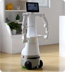 Elephant Robotics Mercury X1