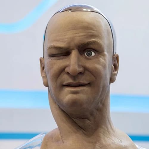 Hanson Robotics Han
