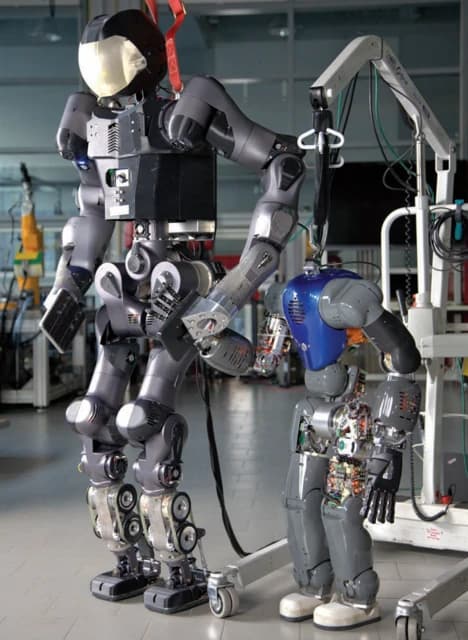 IIT (Istituto Italiano di Tecnologia) COMAN — immagine rappresentativa della famiglia COMAN / COMAN+