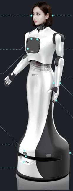 Noetix Robotics W1