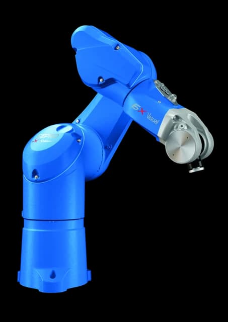 Sepro Group 6X-90.2 L — immagine rappresentativa della famiglia 6X Visual Sepro–Stäubli