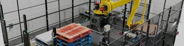 Sidel RoboAccess