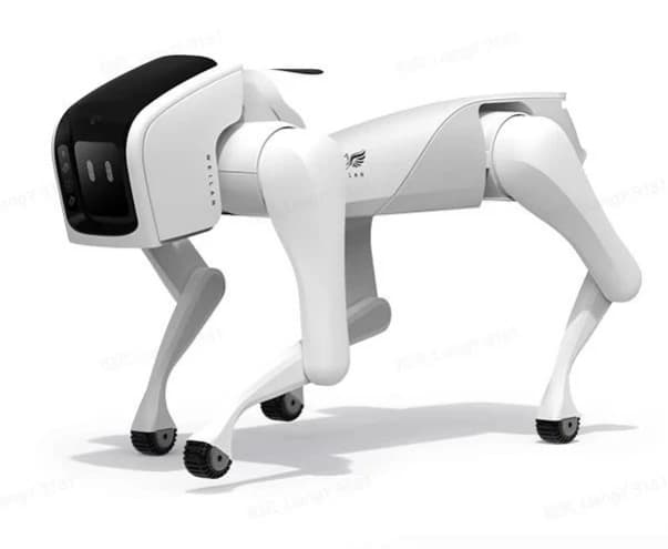 Weilan AlphaDog — representative image of the family WEILAN AlphaDog