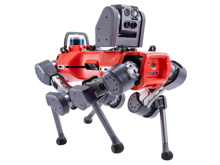 ANYbotics ANYmal D
