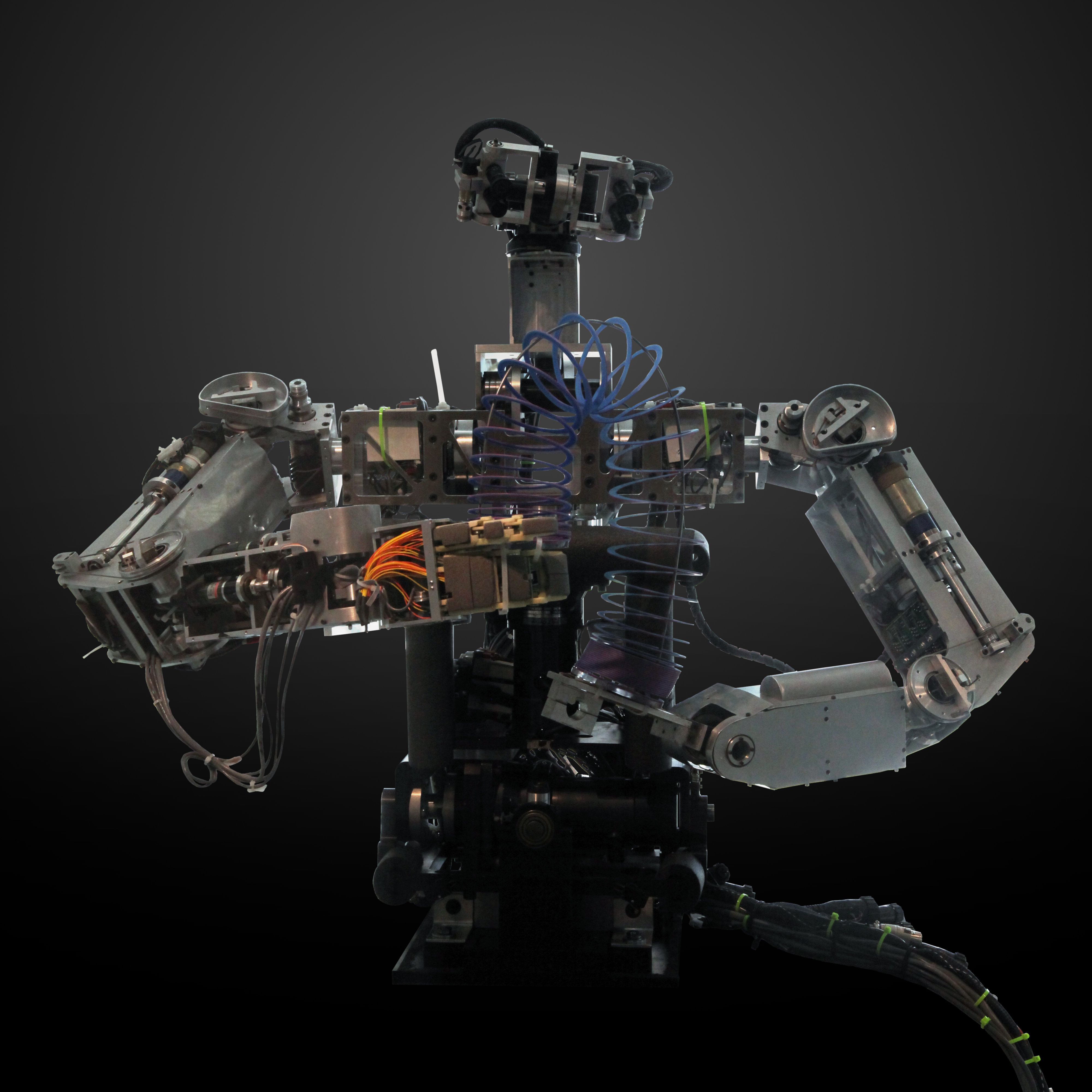 MIT AI Lab (Rodney Brooks) Cog