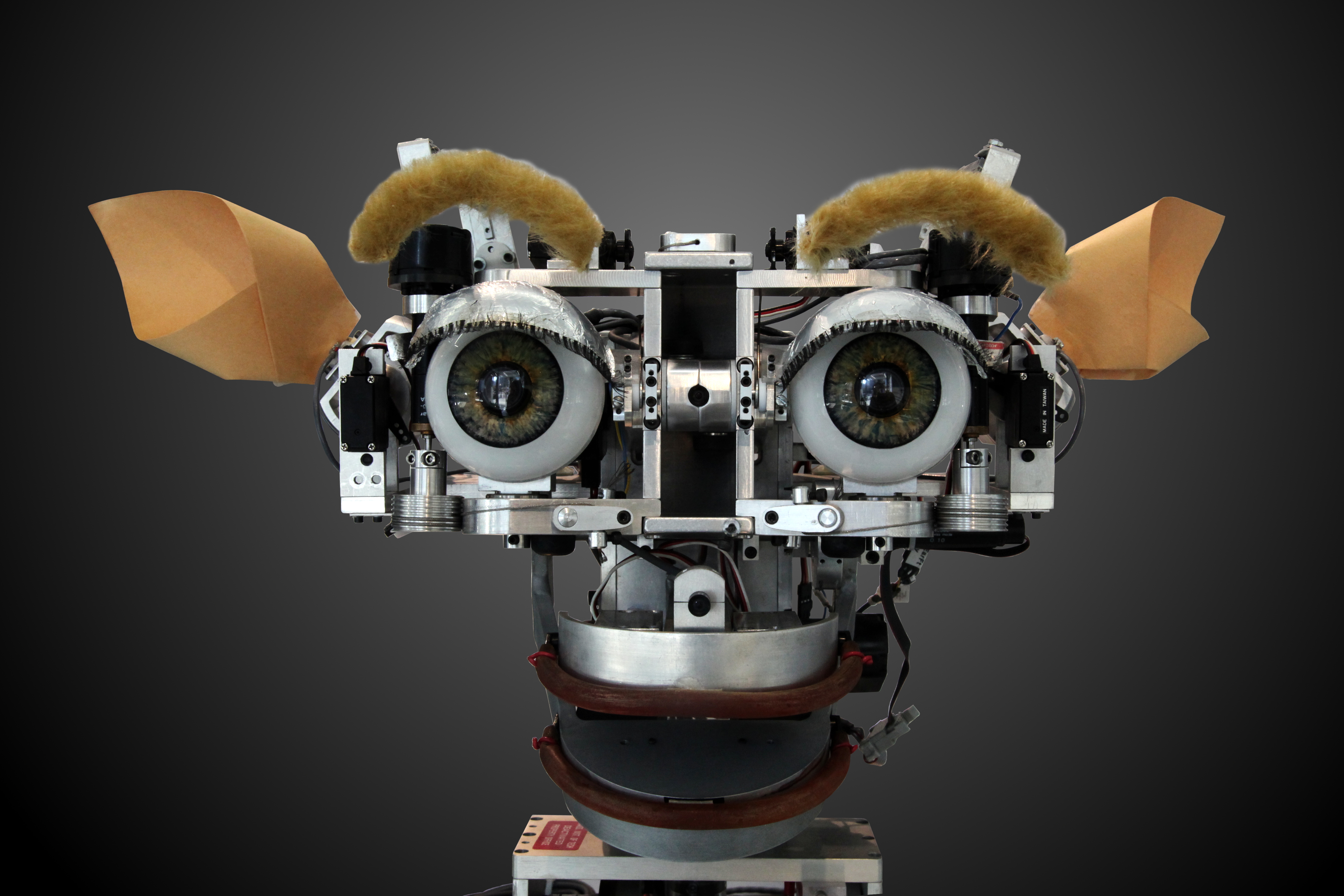 MIT AI Lab (Cynthia Breazeal) Kismet