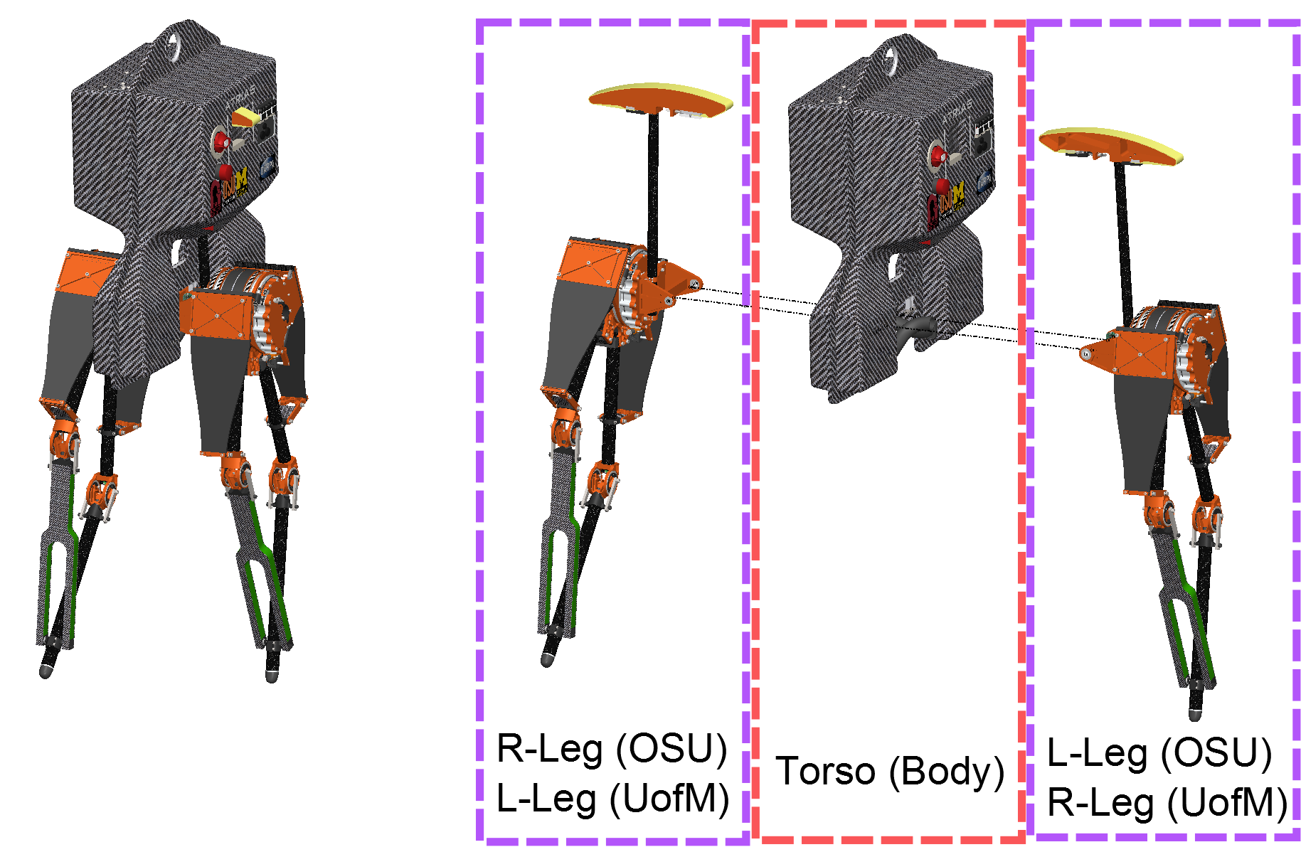 Oregon State University (Dynamic Robotics Lab) ATRIAS